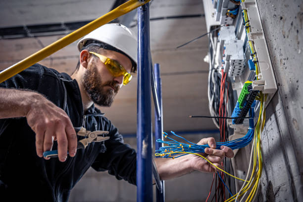 Best Home Electrical Repair  in Nekoosa, WI